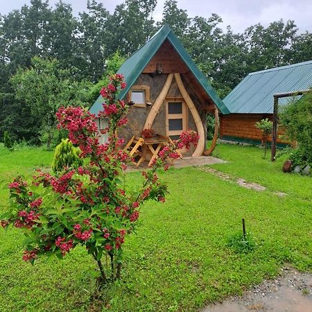 Gazela Bungalov 1 Мойковац Екстер'єр фото