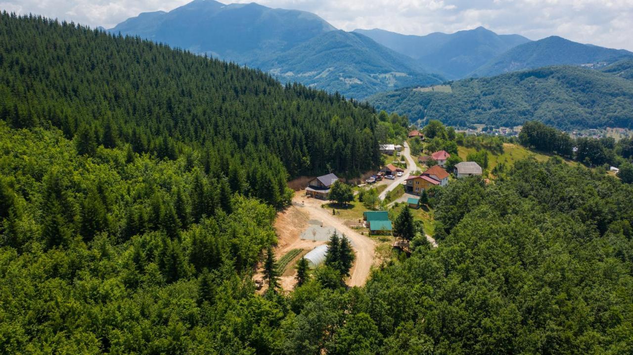 Gazela Bungalov 1 Мойковац Екстер'єр фото