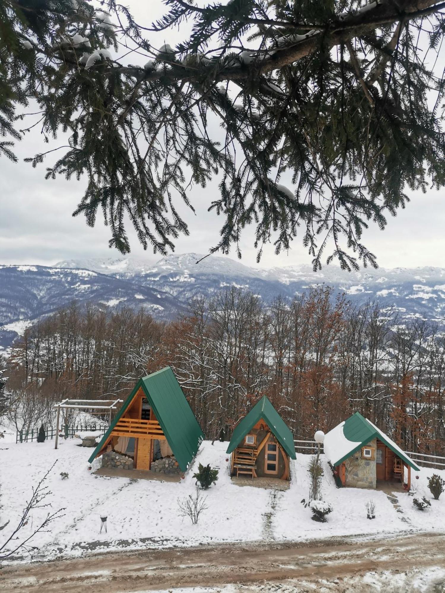 Gazela Bungalov 1 Мойковац Екстер'єр фото