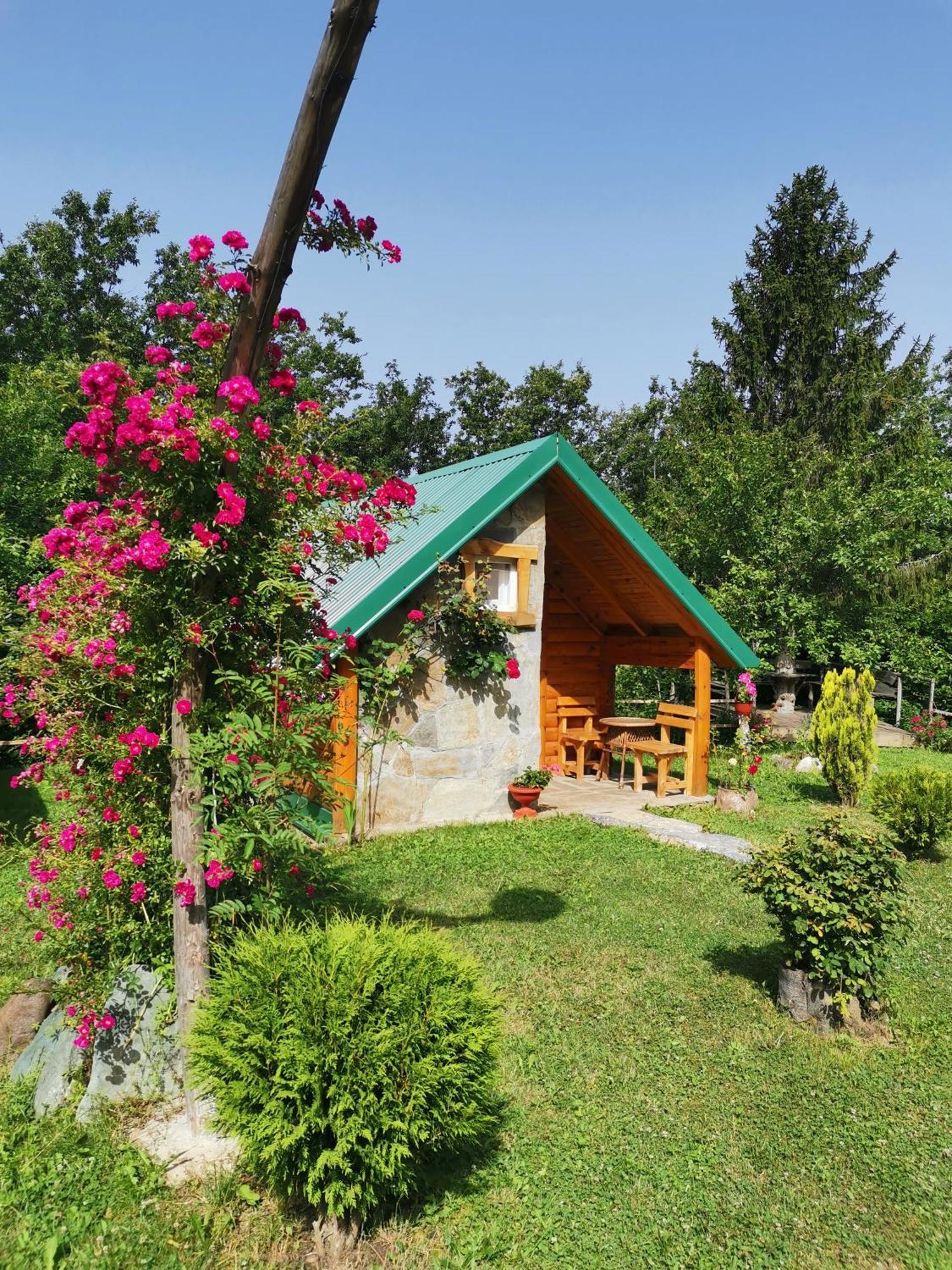 Gazela Bungalov 1 Мойковац Екстер'єр фото